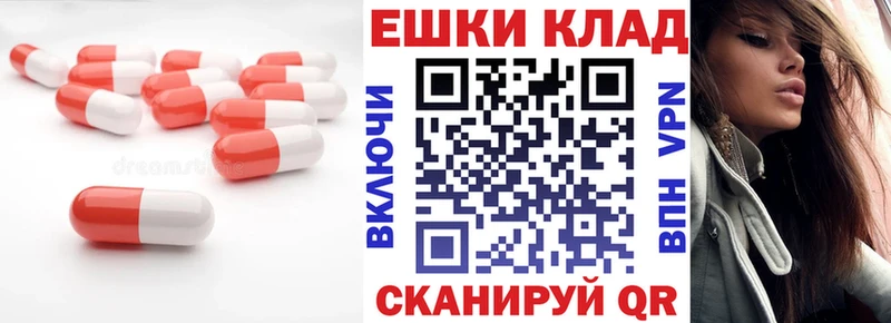 где можно купить наркотик  Михайлов  ЭКСТАЗИ Punisher 