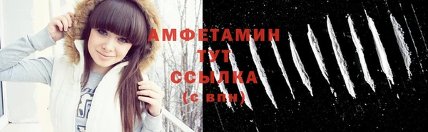 ECSTASY Богданович
