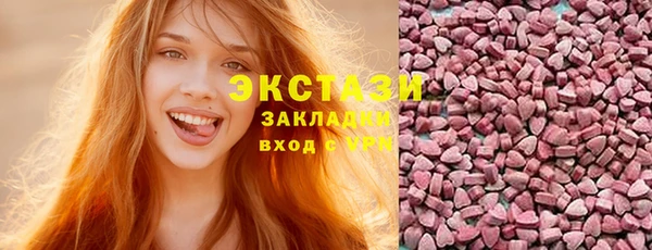 ECSTASY Богданович