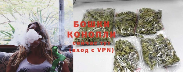 ECSTASY Богданович