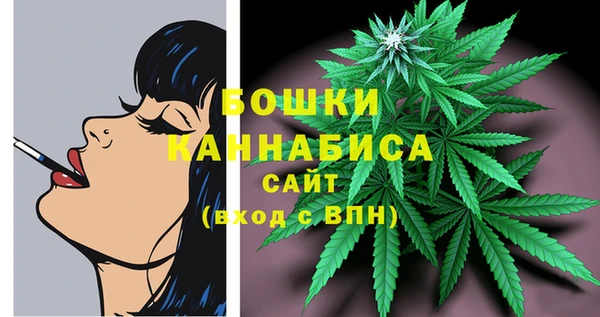ECSTASY Богданович