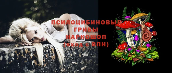 эйфоретик Богородицк