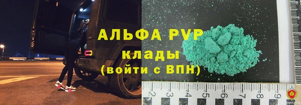 ECSTASY Богданович